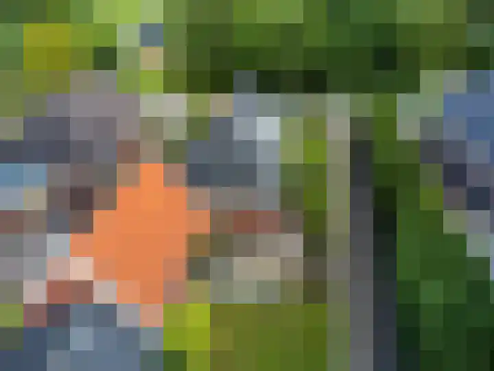 Verbindingsweg 5 Ureterp thumbnail 35