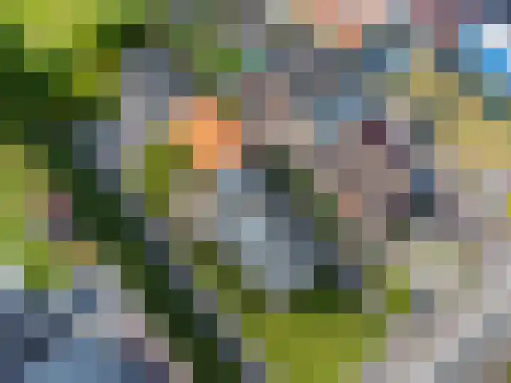 Verbindingsweg 5 Ureterp thumbnail 36