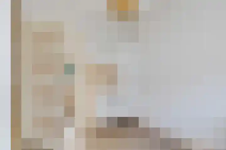 Verbindingsweg 5 Ureterp thumbnail 9