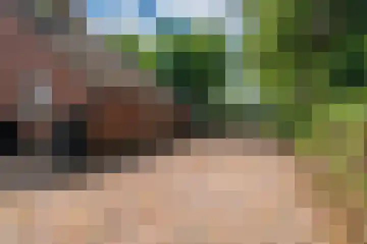 Verbindingsweg 7 Veelerveen thumbnail 10