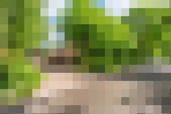 Verbindingsweg 7 Veelerveen thumbnail 5