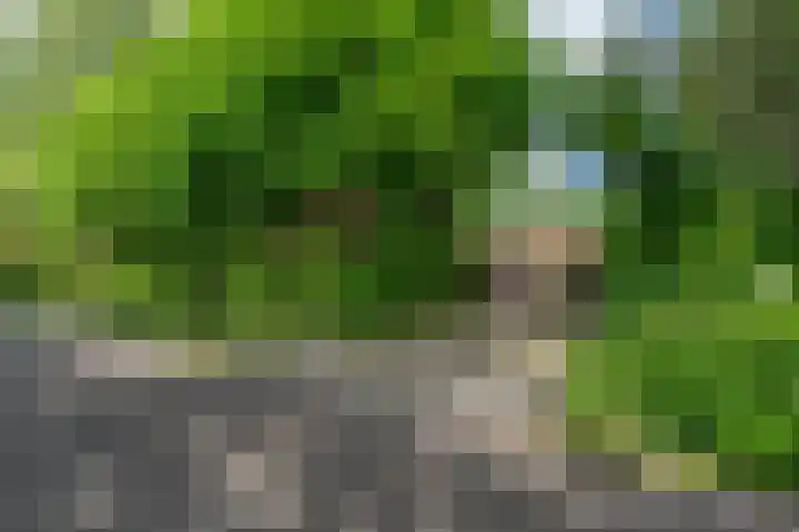 Verbindingsweg 7 Veelerveen thumbnail 7