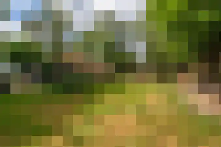 Verbindingsweg 7 Veelerveen thumbnail 8