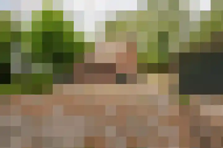 Verbindingsweg 7 Veelerveen thumbnail 9