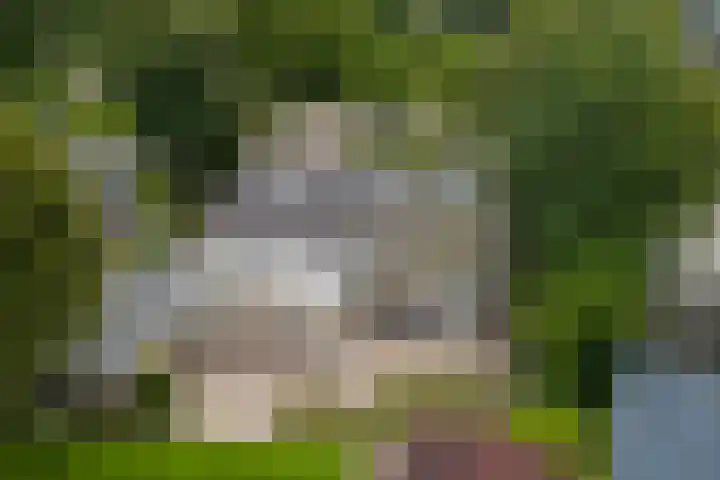 Verbindingsweg 7 Wieringerwerf thumbnail 34