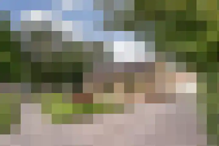 Verbindingsweg 7 Wieringerwerf thumbnail 6