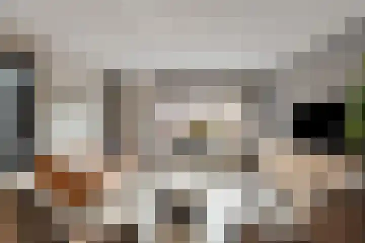 Verblifastraat 21 Krommenie thumbnail 10