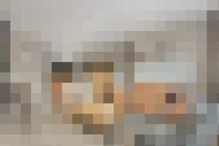 Verblifastraat 21 Krommenie thumbnail 11