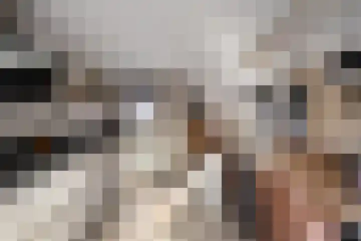 Verblifastraat 21 Krommenie thumbnail 13