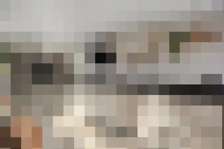 Verblifastraat 21 Krommenie thumbnail 14