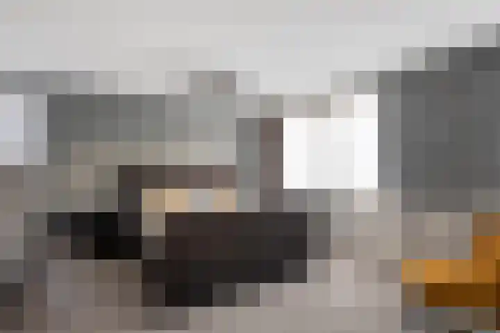 Verblifastraat 21 Krommenie thumbnail 22