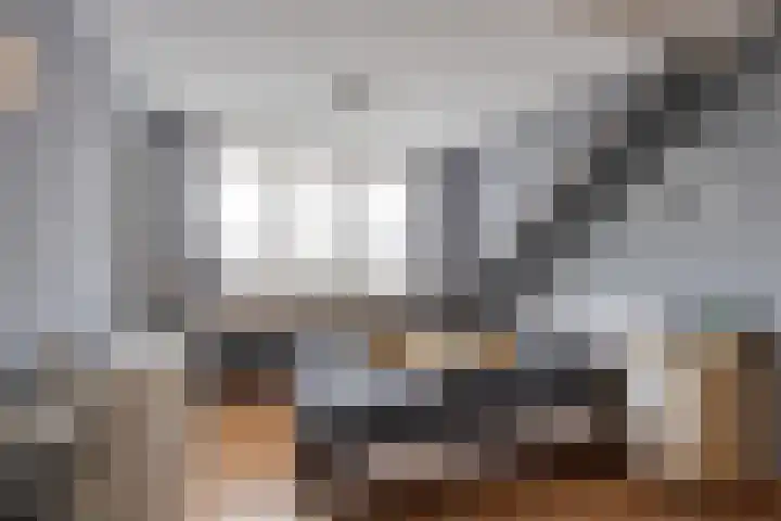 Verblifastraat 21 Krommenie thumbnail 28