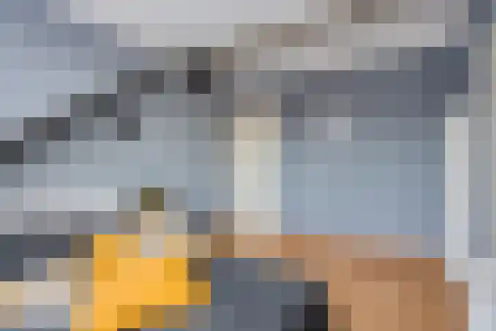 Verblifastraat 21 Krommenie thumbnail 29