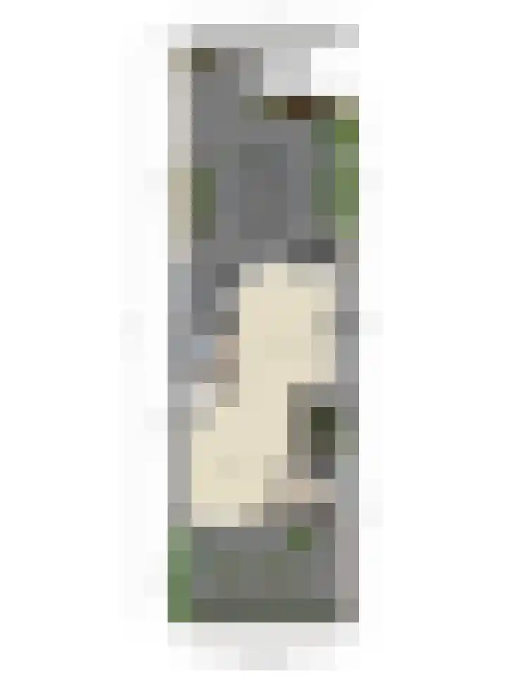 Verblifastraat 21 Krommenie thumbnail 42