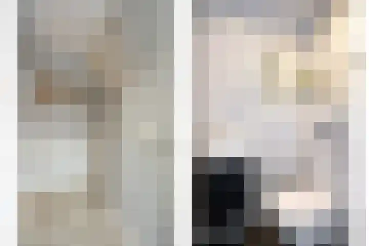 Verblifastraat 21 Krommenie thumbnail 7