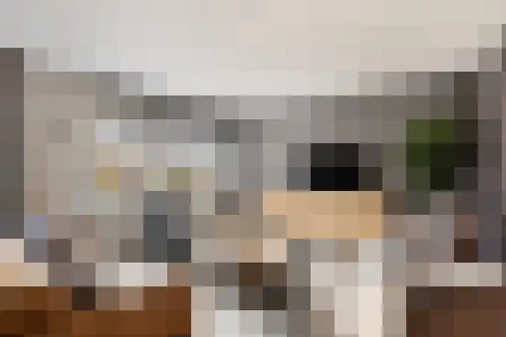 Verblifastraat 21 Krommenie thumbnail 9
