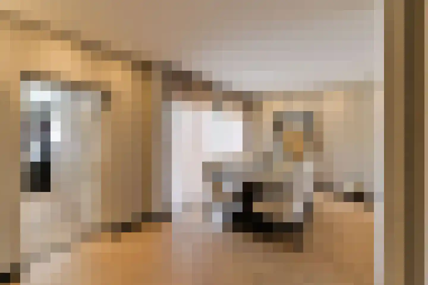 Verboeckhorststraat 2 Venlo thumbnail 10