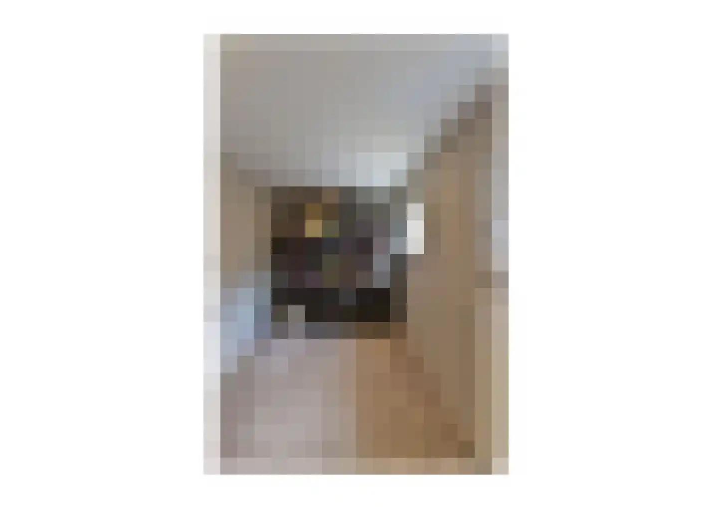 Verboeckhorststraat 2 Venlo thumbnail 13