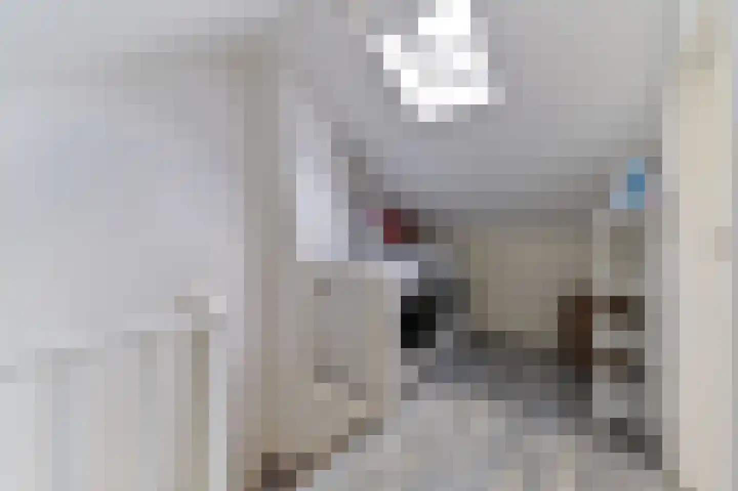 Verboeckhorststraat 2 Venlo thumbnail 20