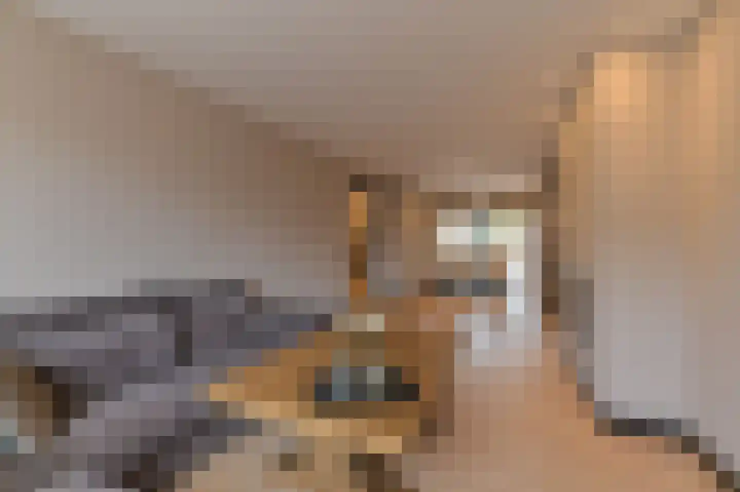 Verboeckhorststraat 2 Venlo thumbnail 9
