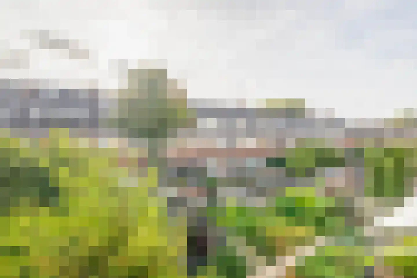 Verboomstraat 104 B Rotterdam thumbnail 35