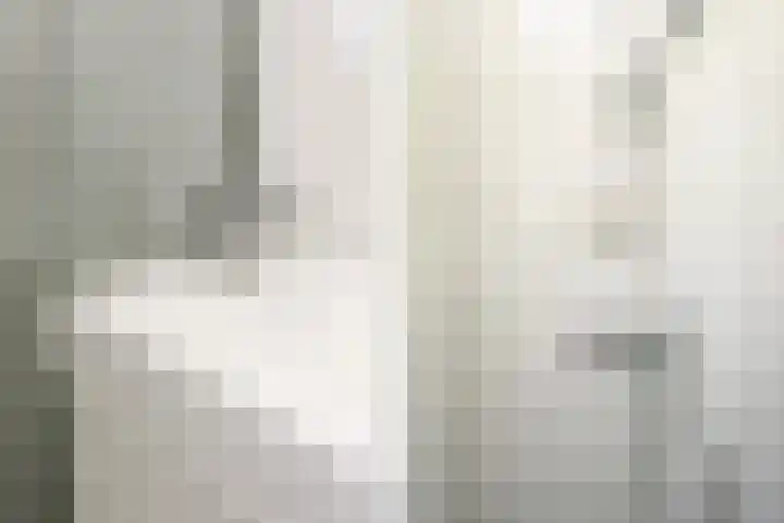 Verboomstraat 120 B Rotterdam thumbnail 23