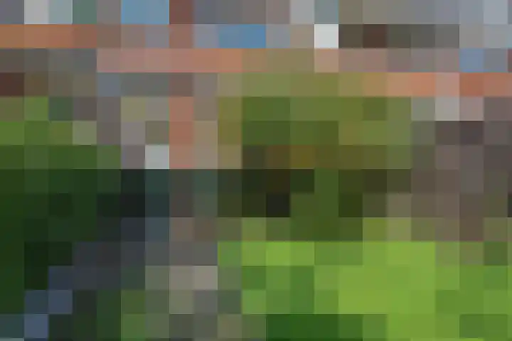Verboomstraat 120 B Rotterdam thumbnail 33