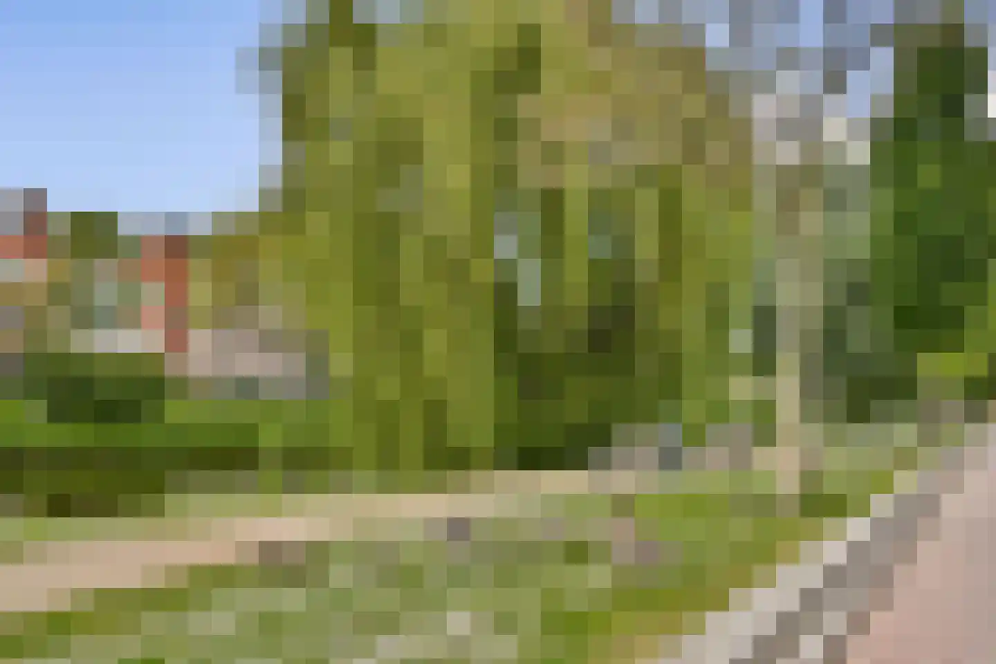 Verboomstraat 147 B Rotterdam thumbnail 22