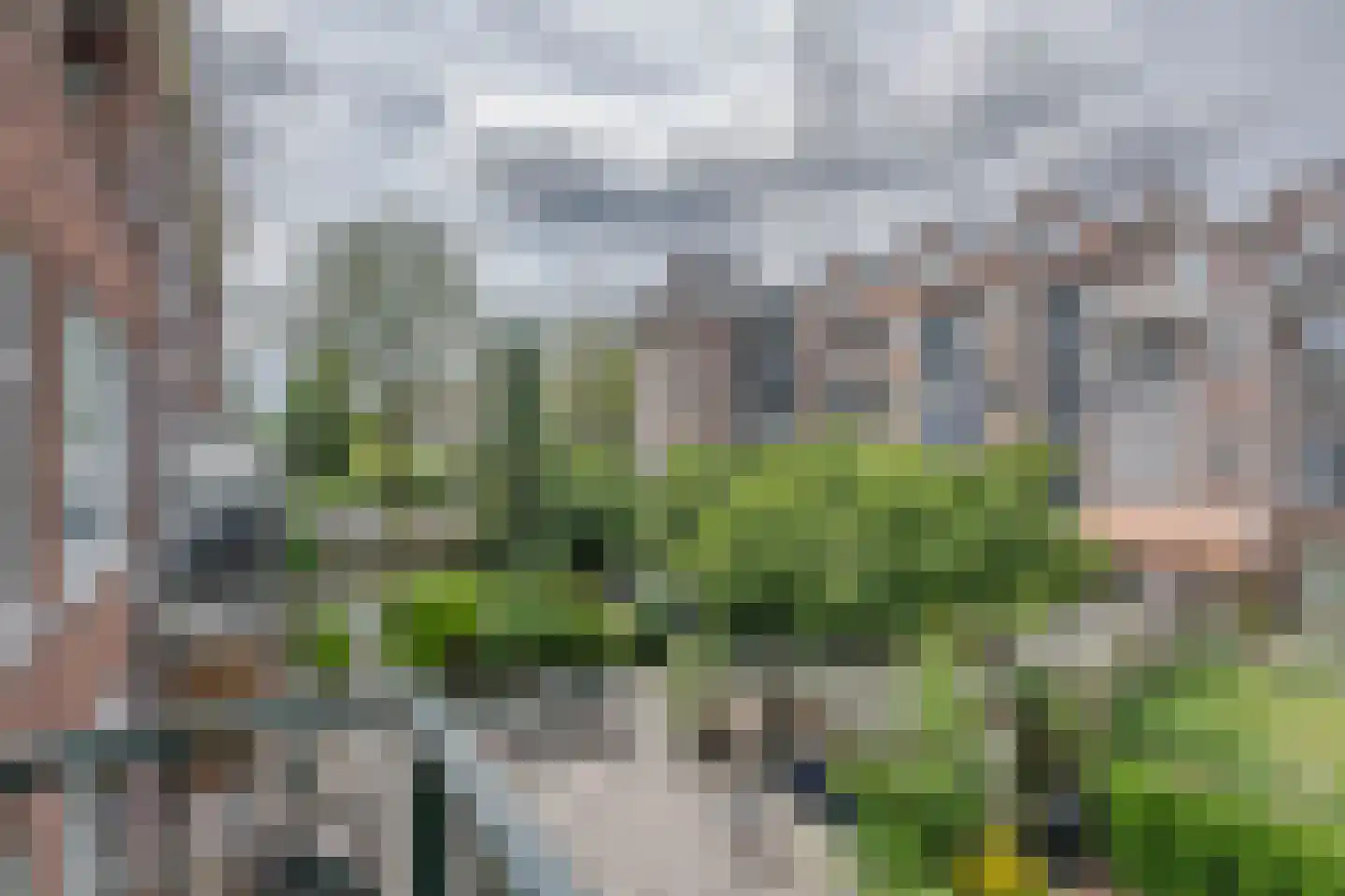 Verboomstraat 151 B Rotterdam thumbnail 15