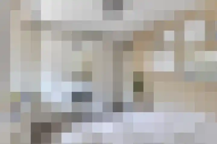 Verboomstraat 255 Rotterdam thumbnail 12