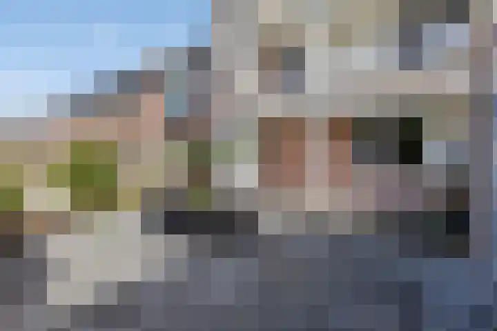 Verboomstraat 255 Rotterdam thumbnail 16