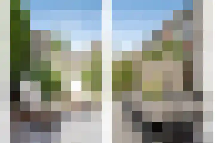 Verboomstraat 255 Rotterdam thumbnail 17