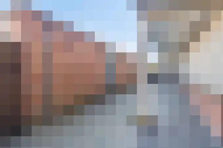 Verboomstraat 255 Rotterdam thumbnail 18