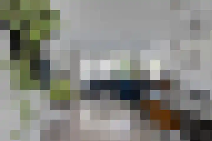 Verboomstraat 255 Rotterdam thumbnail 4