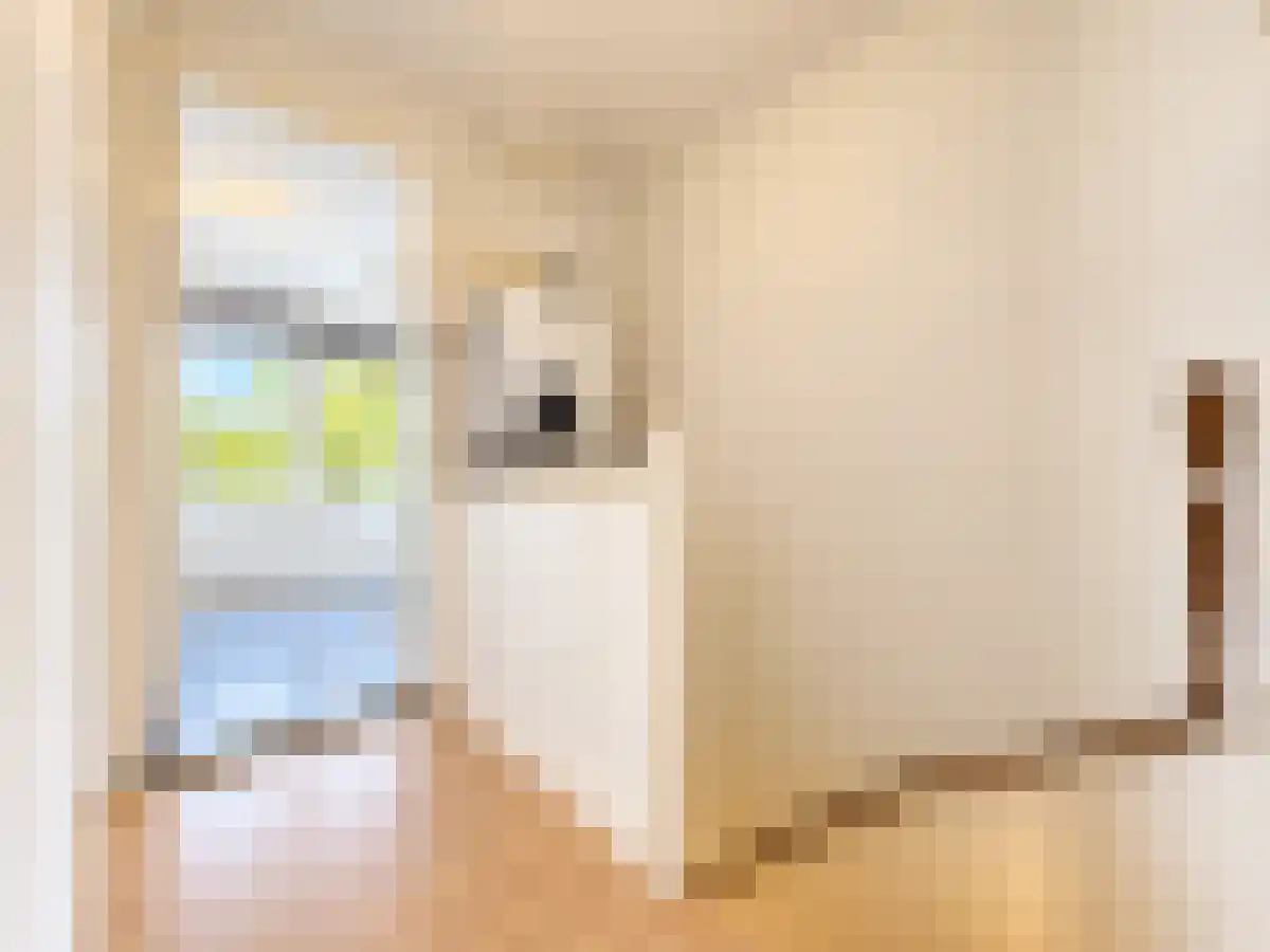 Verboomstraat 35 B Rotterdam thumbnail 5