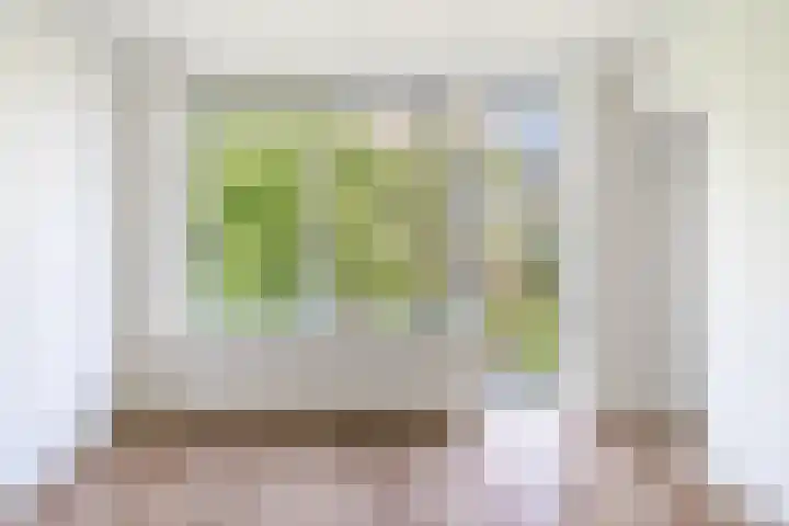 Verboomstraat 87 C Rotterdam thumbnail 7