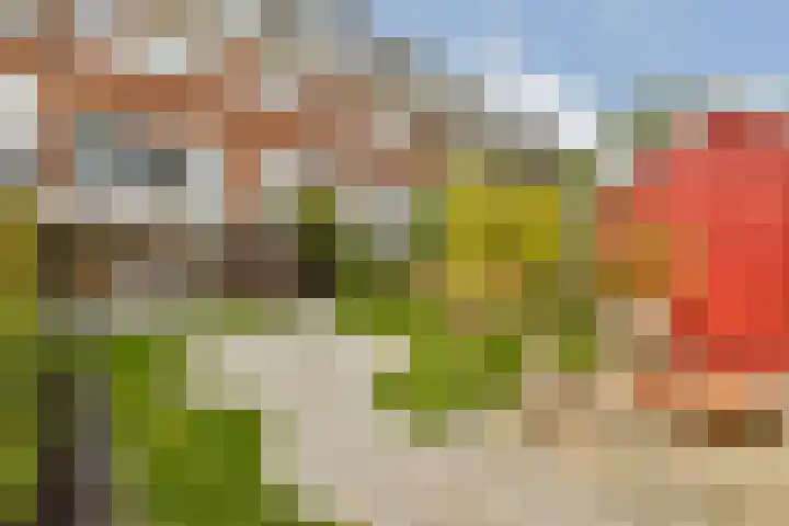 Verboomstraat 94 B Rotterdam thumbnail 15