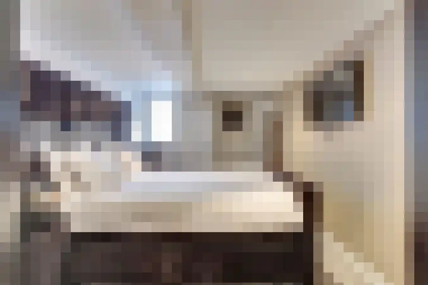 Verboomstraat 96 A Rotterdam thumbnail 13