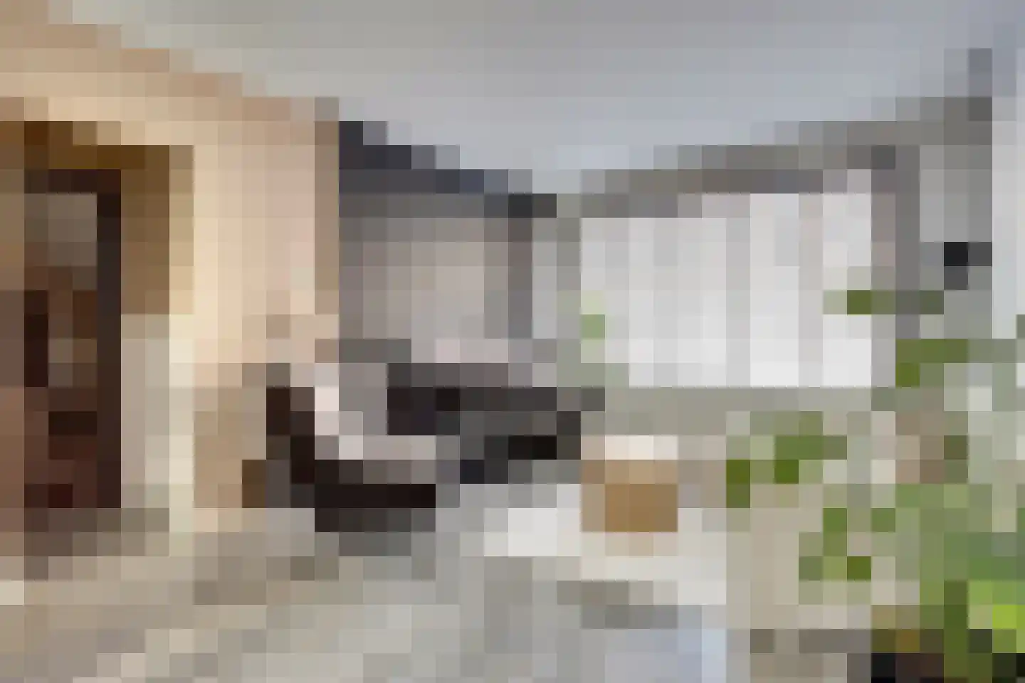 Verboomstraat 96 A Rotterdam thumbnail 5