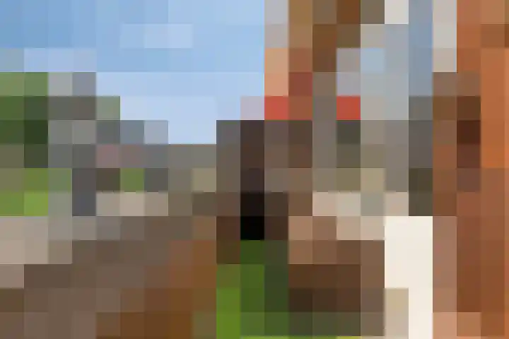Verboomstraat 98 B Rotterdam thumbnail 15