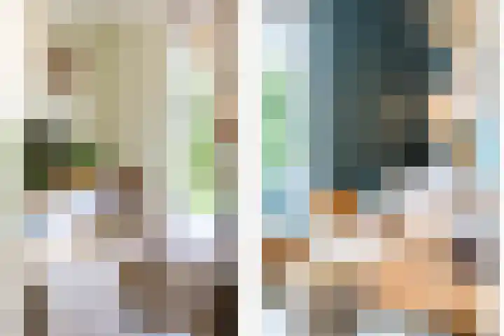 Verbrande Erven 6 Schiedam thumbnail 15