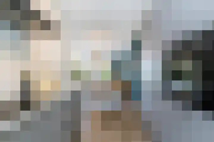 Verbrande Erven 6 Schiedam thumbnail 17