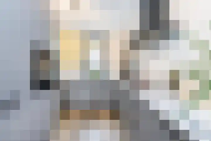 Verbrande Erven 6 Schiedam thumbnail 18