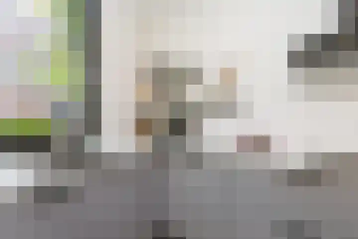 Verbrande Erven 6 Schiedam thumbnail 19