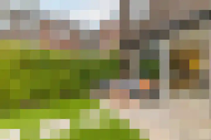Verbrande Erven 6 Schiedam thumbnail 22