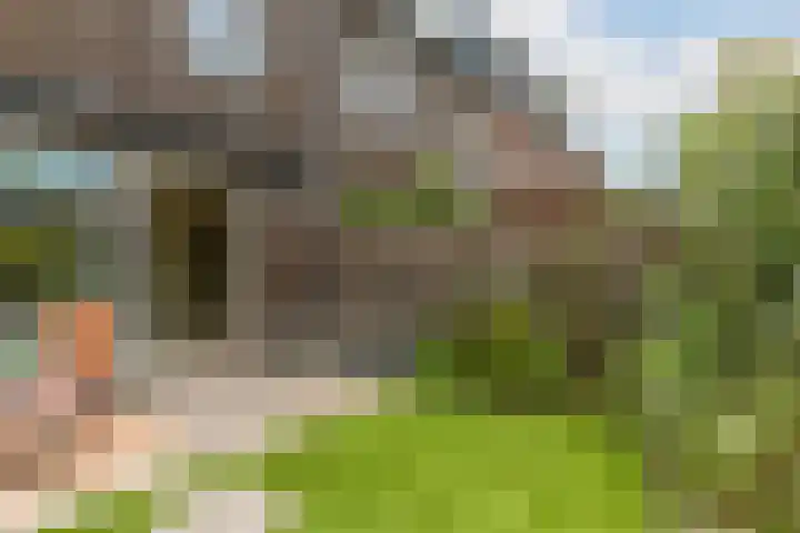 Verbrande Erven 6 Schiedam thumbnail 23