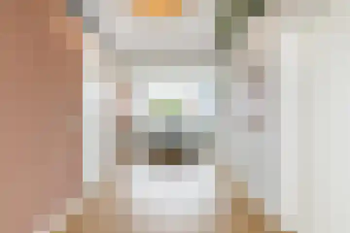 Verbrande Erven 6 Schiedam thumbnail 36