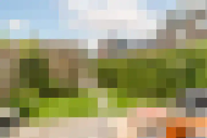 Verbrande Erven 6 Schiedam thumbnail 4