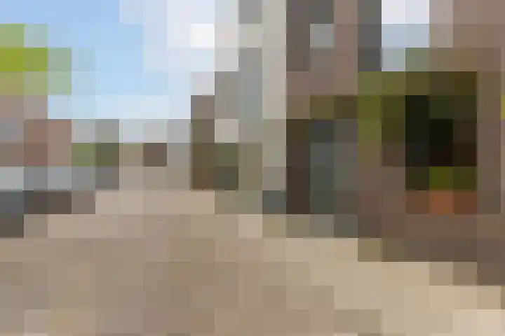 Verbrande Erven 6 Schiedam thumbnail 43