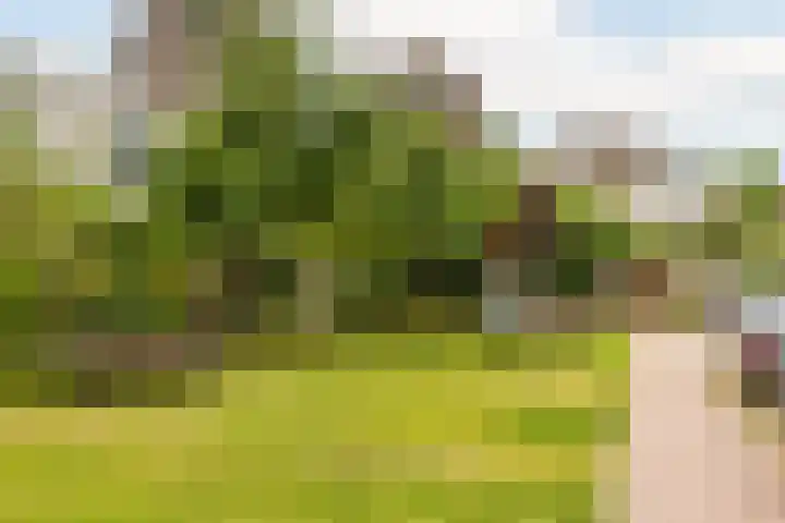 Verbrande Erven 6 Schiedam thumbnail 44